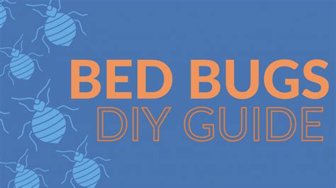 Comprehensive DIY Bed Bug Treatment Guide (2021 Edition) - go2-pros