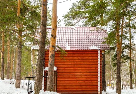 Premium Photo | A red wooden house in the woods covered in snow.