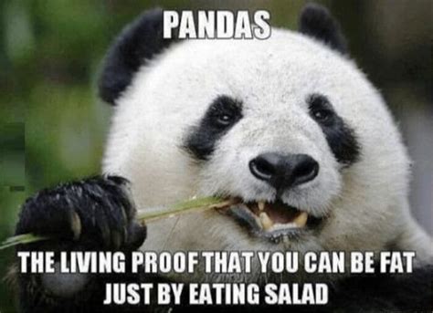 84 Mad Panda Memes - Funny Memes