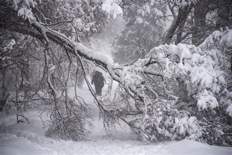 PHOTOS: A month of snow fell on Moscow this weekend – VICE News