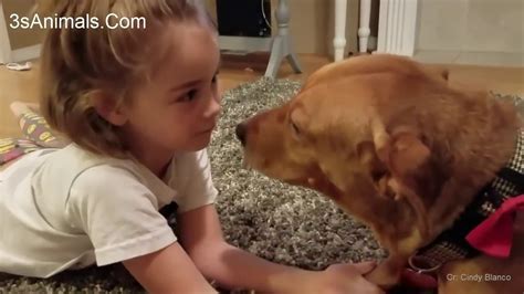 Dog and baby showing love together - Cute dogs trying to kissing Babies Compilation - YouTube