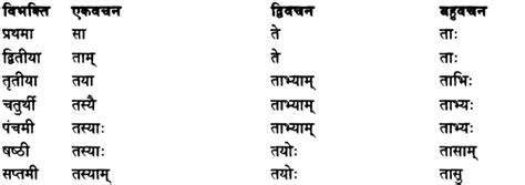 Shabd Roop – शब्द रूप, Sanskrit Shabd Roop – Learn Cram