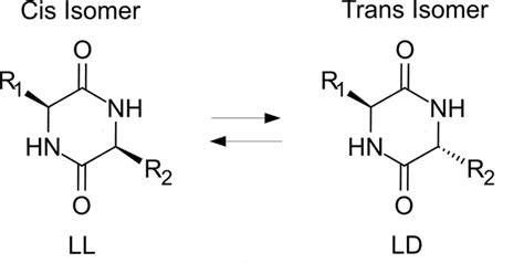 Trans Isomer Definition