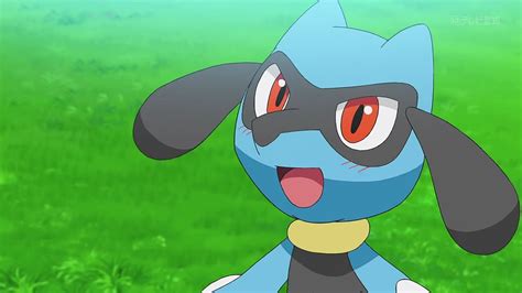 Riolu Screenshot in 2020 | Cute pokemon pictures, Pokemon, Pokemon pictures