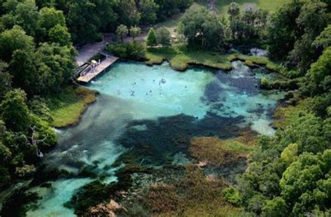 Rainbow River (Dunnellon) - 2018 All You Need to Know Before You Go (with Photos) - TripAdvisor