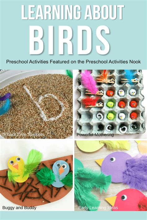 Learning About Birds - Preschool Activities Nook