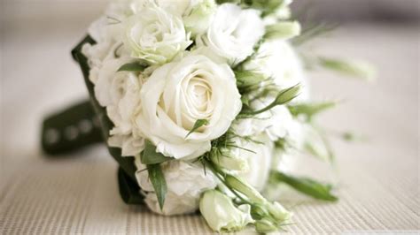 nature, Bouquet, White, Roses Wallpapers HD / Desktop and Mobile Backgrounds