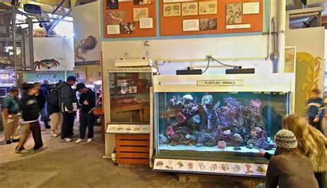 Cabrillo Marine Aquarium, San Pedro, CA - California Beaches