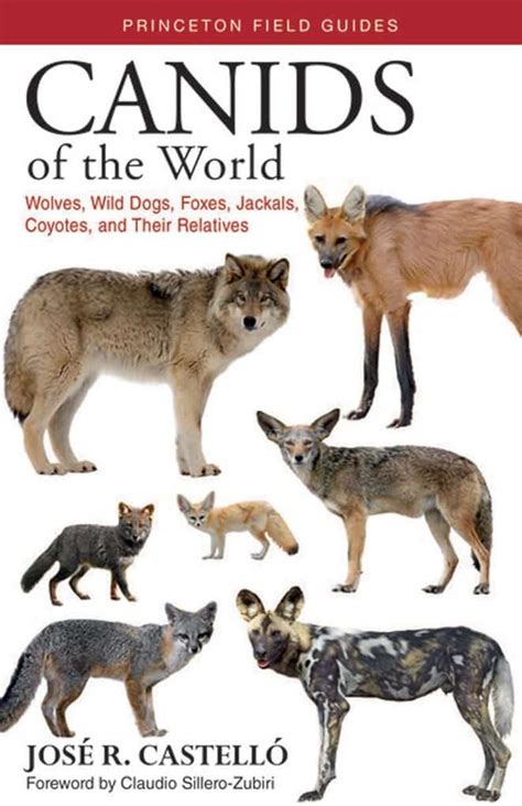 Canids of the World: Wolves, Wild Dogs, Foxes, Jackals, Coyotes, and ...