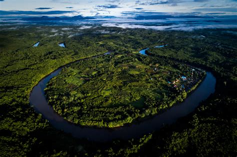 Borneo’s carbon sink - CIFOR Forests NewsCIFOR Forests News