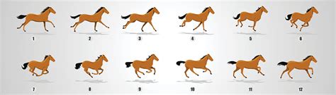 Horse Run Cycle Stock Illustration - Download Image Now - iStock