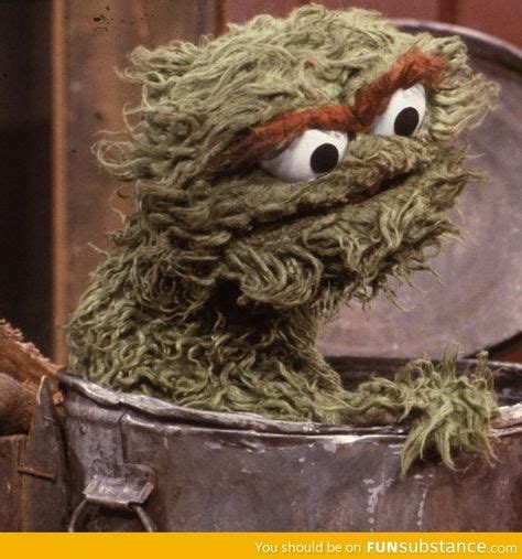 The only Oscar I care about | Oscar the grouch, Funny, Funny pictures