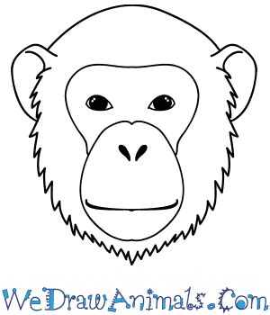 Chimpanzee Drawing