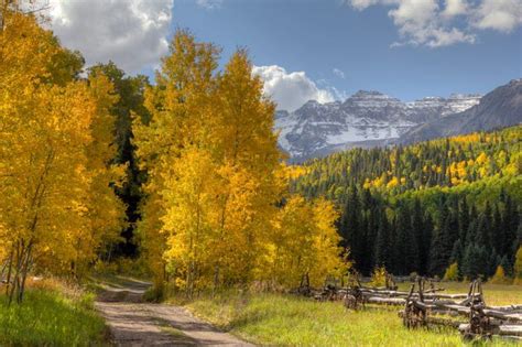 The best times and places to view fall foliage in colorado – Artofit