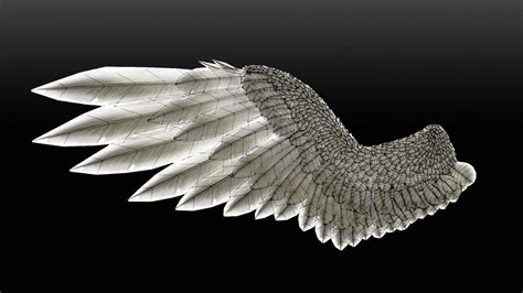 Bird-Angel Wings (C4D) 3D Model by QUARTOMUNDO