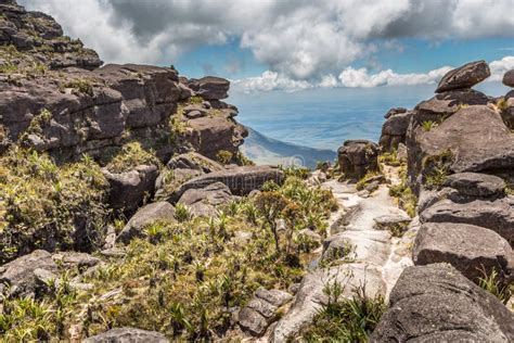 Bizarre Ancient Rocks of the Plateau Roraima Tepui - Venezuela, Latin America Stock Image ...