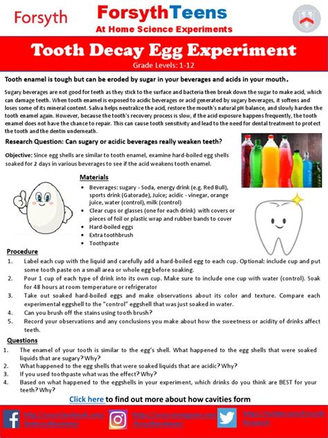 Egg Tooth Decay Experiment Grades 1 12 | PDF | Tooth Enamel | Tooth