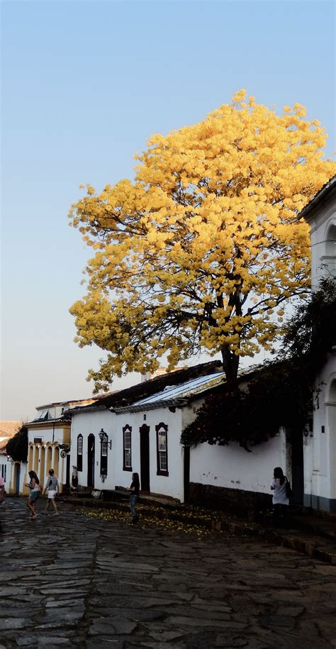 Tiradentes, Minas Gerais - How Brazil Snagged Two Independence Days in ...