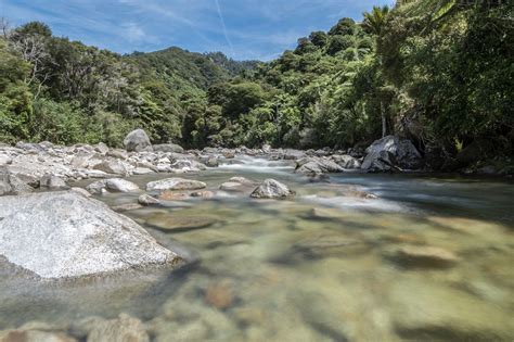 Downstream from Wainui Falls