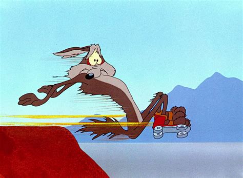 wile e coyote and road runner