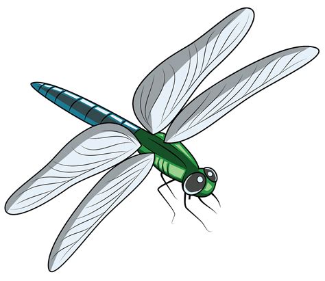 dragonflies pictures clipart 10 free Cliparts | Download images on ...