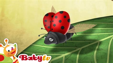 Ladybug | Riddle Games With Animals | BabyTV - YouTube