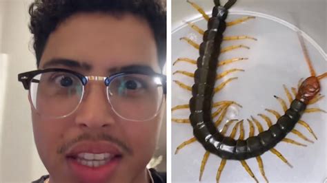 TikToker loses it after finding a giant centipede in brand-new robot vacuum - Dexerto