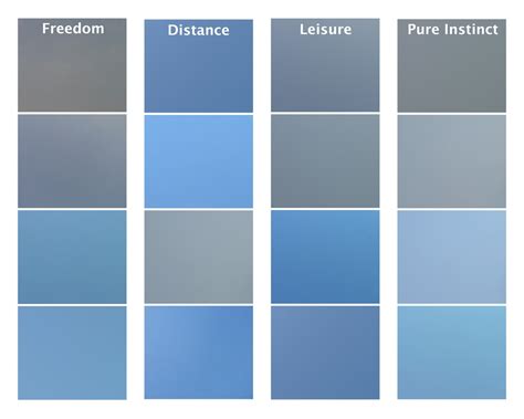 The “China Blue Paint Collection” - photographs of...