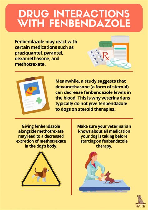 Your Complete Guide To Canine Deworming Using Fenbendazole | Bark For More