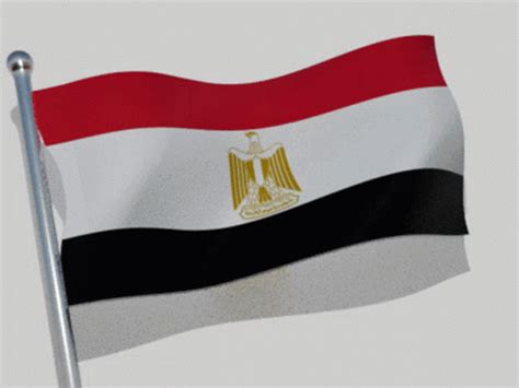 Egypt Flag GIF - Egypt Flag Flag Waver - Discover & Share GIFs