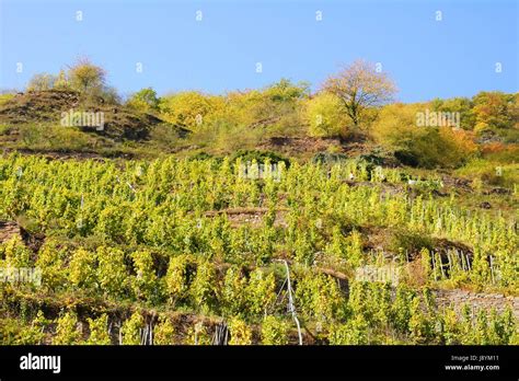 Calmont klettersteig -Fotos und -Bildmaterial in hoher Auflösung – Alamy