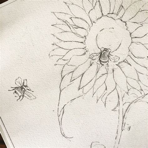 Bee illustration in progress, bee art, pencil drawing, graphite drawing ...