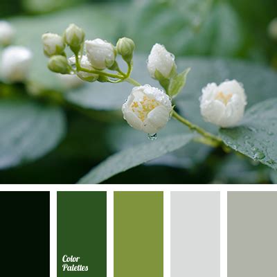grey and green colors | Color Palette Ideas