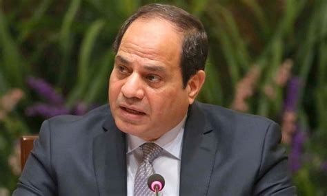 Sisi congratulates Egyptian squash champions - EgyptToday