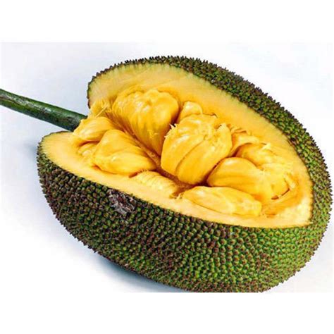 | JACKFRUIT CUT (AVG. 6.00LB) per/LB