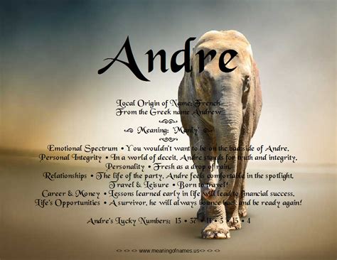 andre name - Google Search | Personal integrity, Deceit, Names