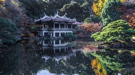 Shinjuku Gyoen National Garden — Park Review | Condé Nast Traveler