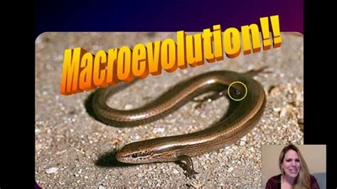 Macroevolution! (Part 1 - Evidence for Macroevolution) - YouTube