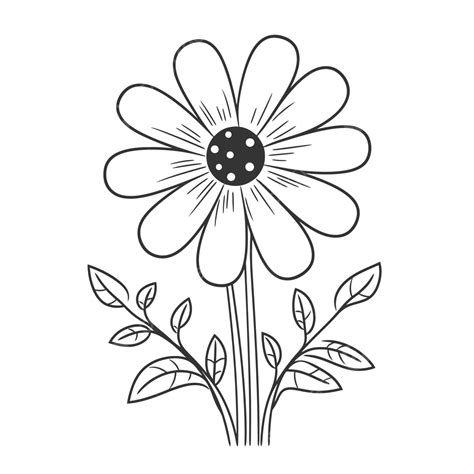 Flower Coloring Page In Black And White Outline Sketch Drawing Vector ...