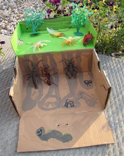 How-To: Make a Bug Habitat and Stick Insect | Habitats, Shoe box ...