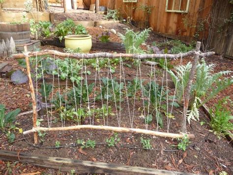 Easy DIY Pea Trellis Project — Crafthubs | Gardening | Pinterest | Vegetable garden, Garden ...