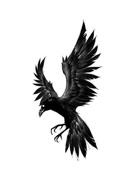 Crow tattoo design nel 2024 | Idee per tatuaggi, Tatuaggi, Idee