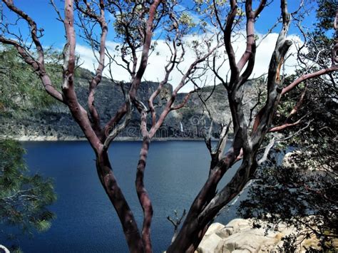 Hetch Hetchy Waterfall stock image. Image of clouds - 241907629