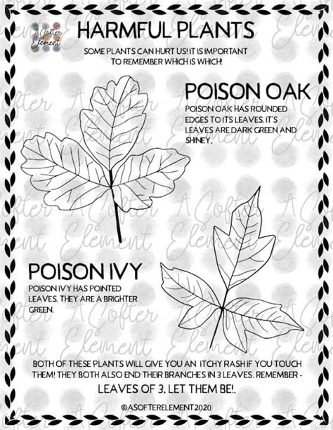 NATURE COLORING PAGES Harmful Plants poison Oak & Poison - Etsy Canada | Harmful plants ...