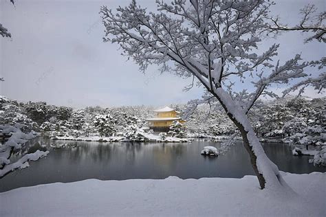 Kinkakuji Snow Architecture Beautiful Temple Photo Background And Picture For Free Download ...