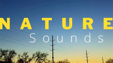 Nature Sounds - YouTube