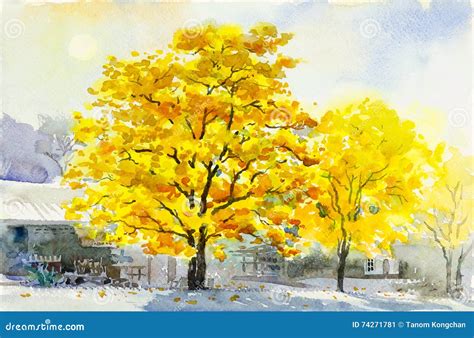 Watercolor Painting Original Yellow Color of Golden Tree Flower Stock Illustration ...