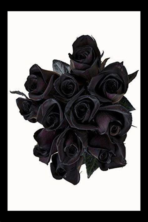 Pin by ioLA on ☆WeddiNG | Black rose bouquet, Rose bouquet, Rose wedding bouquet