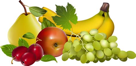 Free Transparent Fruit Cliparts, Download Free Transparent Fruit ...