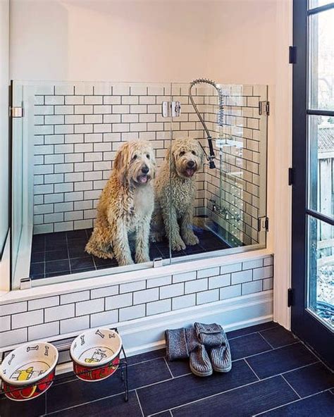 Top 60 Best Home Dog Wash Station Ideas - Canine Shower Designs